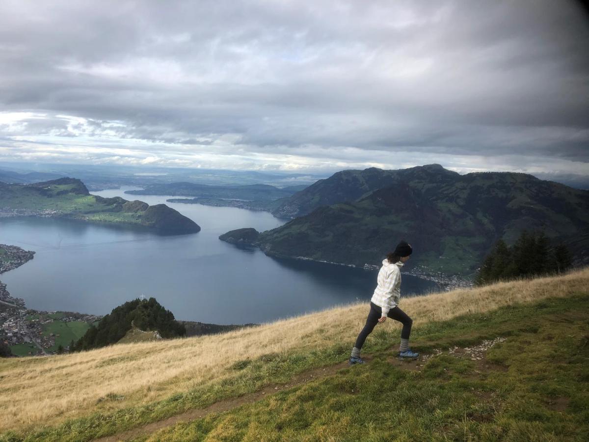 Ferienwohnungen Mit 4 Betten In Gersau Direkt Am Vierwaldstaettersee 외부 사진